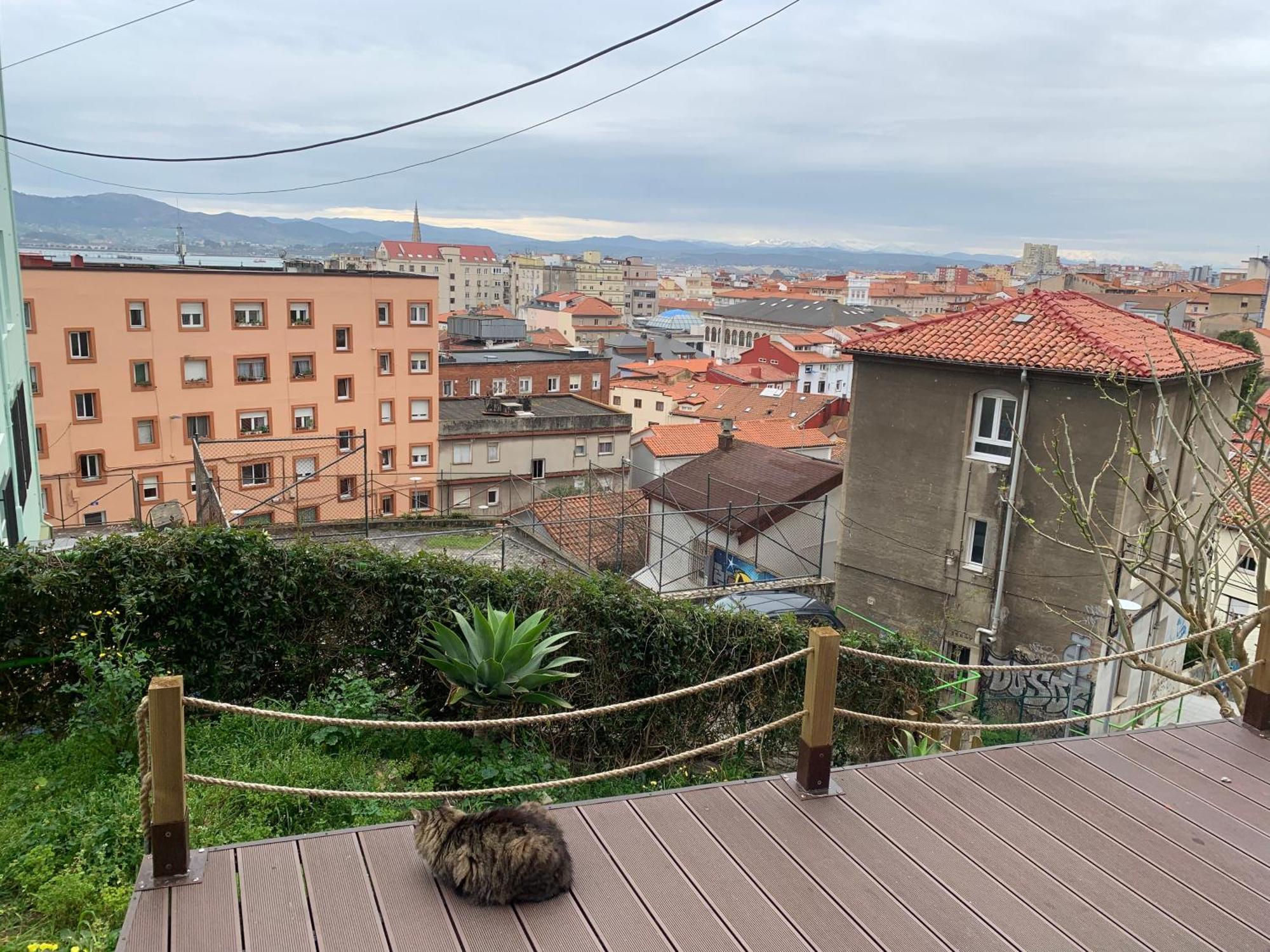 Apartment Con Jardin Y Vistas En El Centro De *